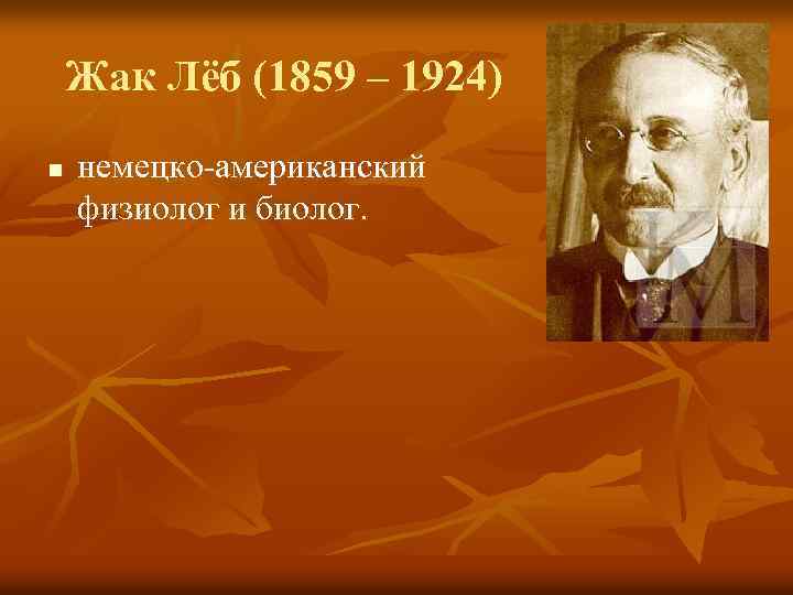 Жак Лёб (1859 – 1924) n немецко-американский физиолог и биолог. 