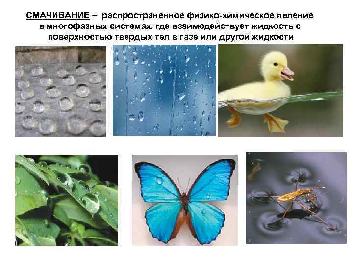 СМАЧИВАНИЕ – распространенное физико-химическое явление в многофазных системах, где взаимодействует жидкость с поверхностью твердых