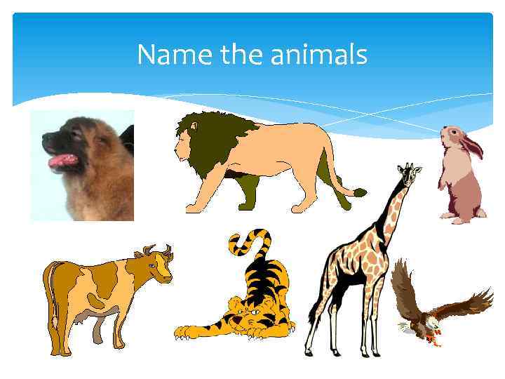 Name the animals 