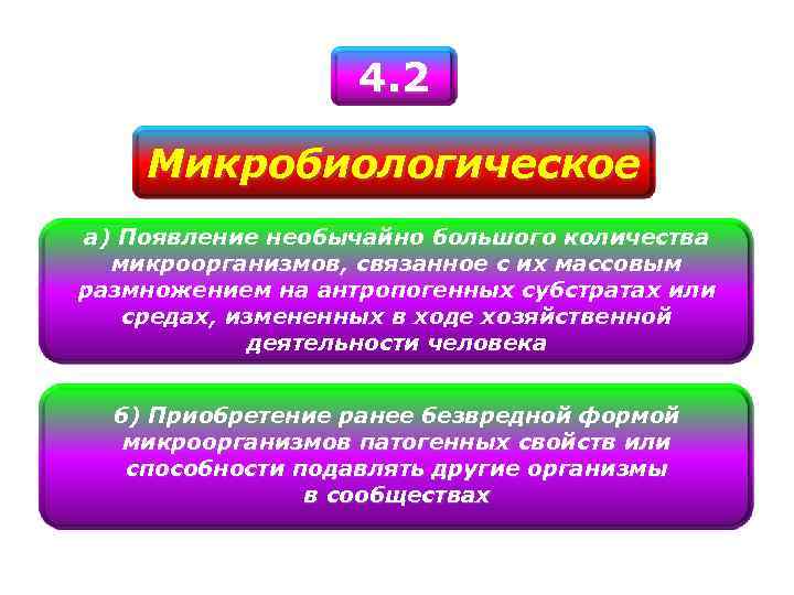 4. 2 Микробиологическое а) Появление необычайно большого количества микроорганизмов, связанное с их массовым размножением