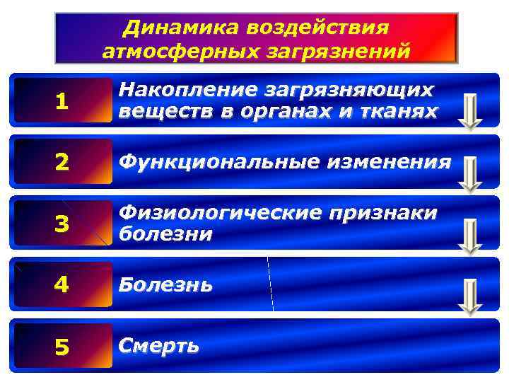 Динамика воздействия атмосферных загрязнений 1 Накопление загрязняющих веществ в органах и тканях 2 Функциональные