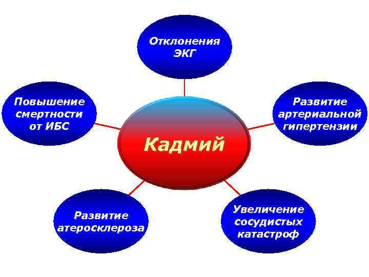 Отклонения ЭКГ Повышение смертности от ИБС Кадмий Развитие атеросклероза Развитие артериальной гипертензии Увеличение сосудистых