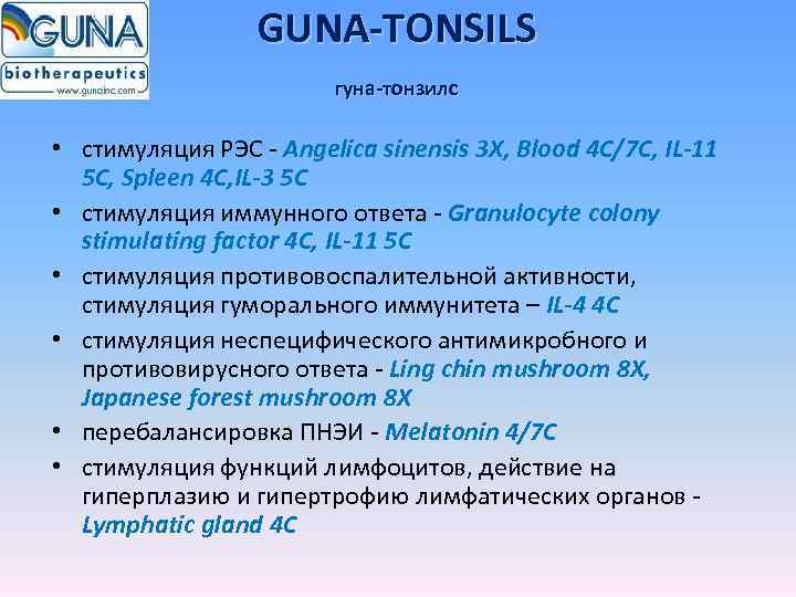 GUNA-TONSILS гуна-тонзилс • стимуляция РЭС - Angelica sinensis 3 X, Blood 4 C/7 C,