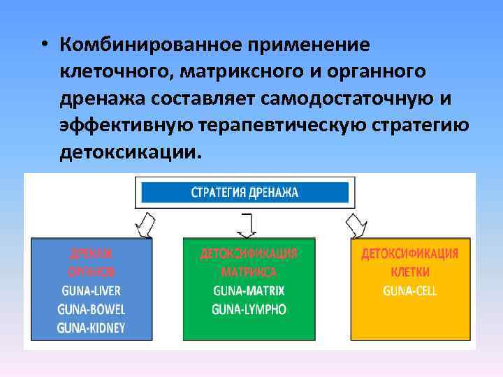  • Комбинированное применение клеточного, матриксного и органного дренажа составляет самодостаточную и эффективную терапевтическую