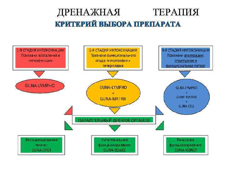  ДРЕНАЖНАЯ ТЕРАПИЯ КРИТЕРИЙ ВЫБОРА ПРЕПАРАТА 