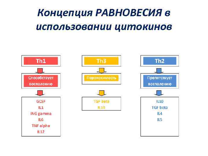 Концепция РАВНОВЕСИЯ в использовании цитокинов 