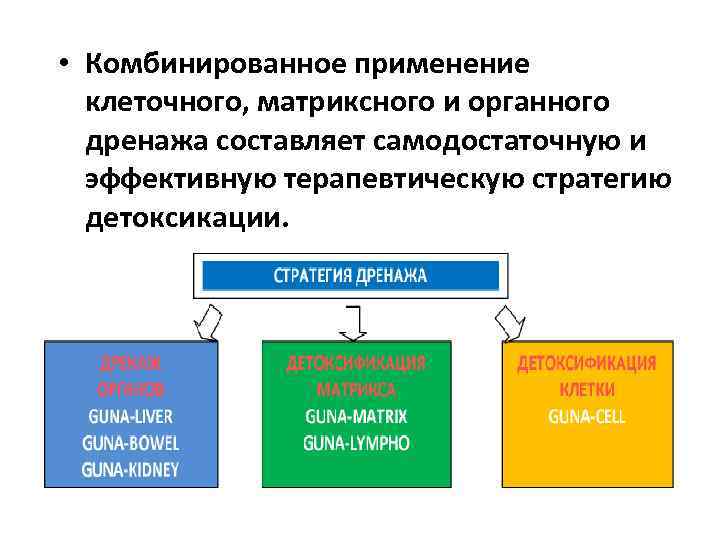  • Комбинированное применение клеточного, матриксного и органного дренажа составляет самодостаточную и эффективную терапевтическую