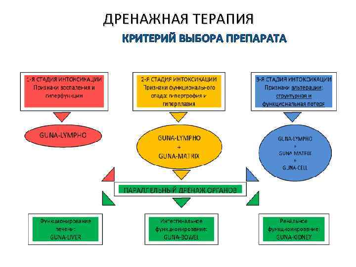  ДРЕНАЖНАЯ ТЕРАПИЯ КРИТЕРИЙ ВЫБОРА ПРЕПАРАТА 