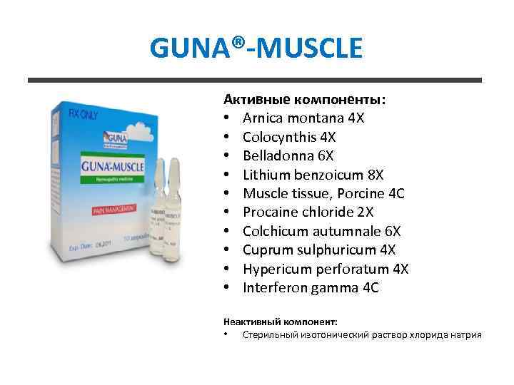 GUNA®-MUSCLE Активные компоненты: • Arnica montana 4 X • Colocynthis 4 X • Belladonna