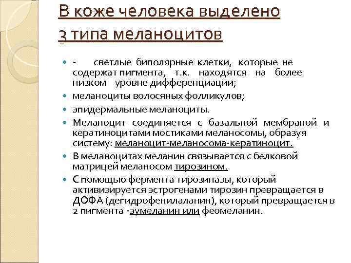 В коже человека выделено 3 типа меланоцитов светлые биполярные клетки, которые не содержат пигмента,