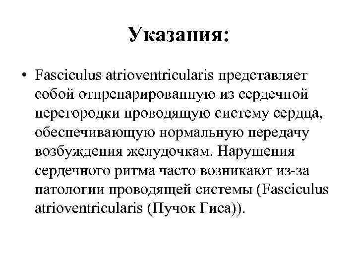Указания: • Fasciculus atrioventricularis представляет собой отпрепарированную из сердечной перегородки проводящую систему сердца, обеспечивающую