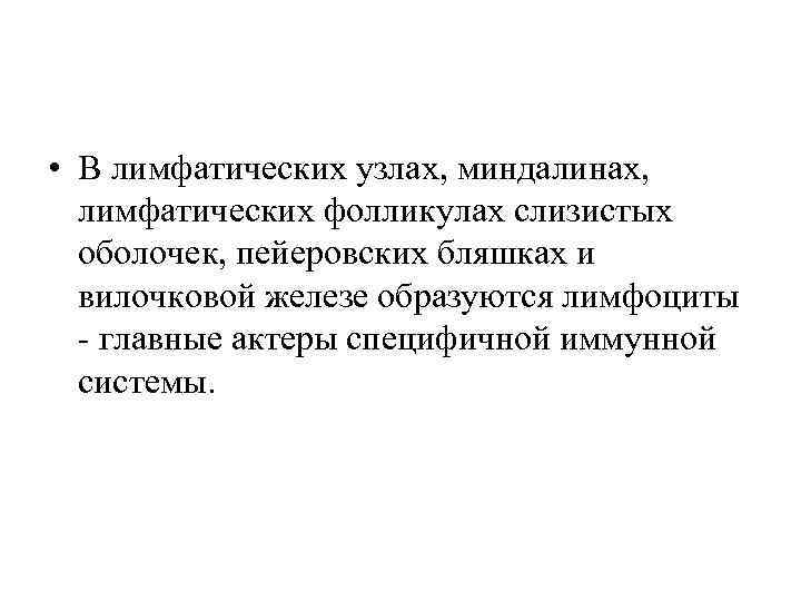  • В лимфатических узлах, миндалинах, лимфатических фолликулах слизистых оболочек, пейеровских бляшках и вилочковой