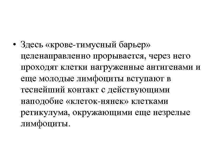  • Здесь «крове тимусный барьер» целенаправленно прорывается, через него проходят клетки нагруженные антигенами