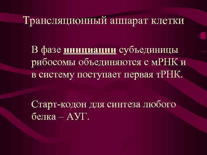 Трансляционный аппарат клетки В фазе инициации субъединицы рибосомы объединяются с м. РНК и в