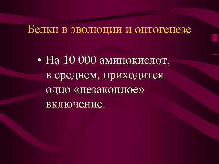 Белки в эволюции и онтогенезе • На 10 000 аминокислот, в среднем, приходится одно