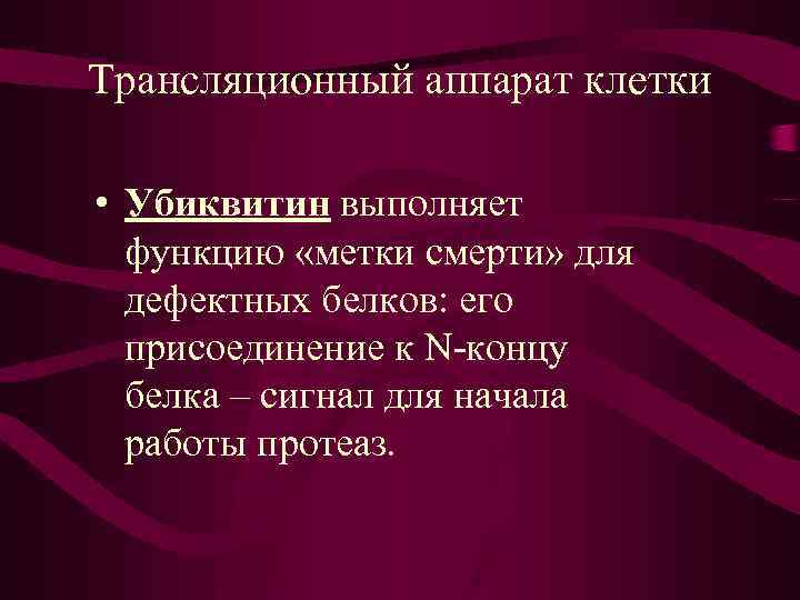 Трансляционный аппарат клетки • Убиквитин выполняет функцию «метки смерти» для дефектных белков: его присоединение