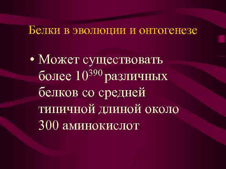 Белки в эволюции и онтогенезе • Может существовать более 10390 различных белков со средней