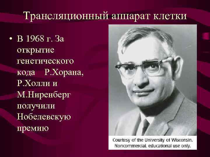 Трансляционный аппарат клетки • В 1968 г. За открытие генетического кода Р. Хорана, Р.