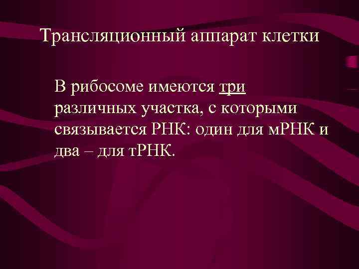 Трансляционный аппарат клетки В рибосоме имеются три различных участка, с которыми связывается РНК: один