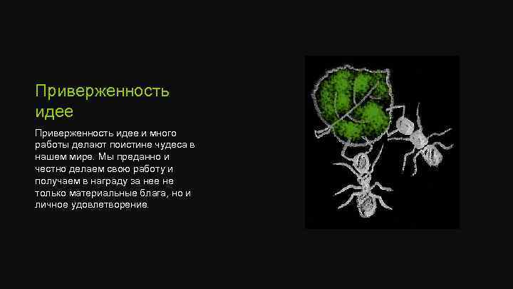 Приверженность идее и много работы делают поистине чудеса в нашем мире. Мы преданно и