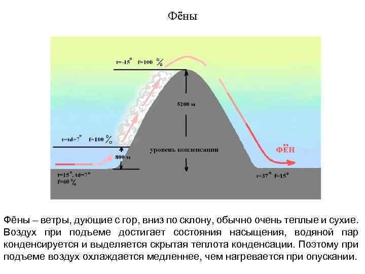 Фёны – ветры, дующие с гор, вниз по склону, обычно очень теплые и сухие.