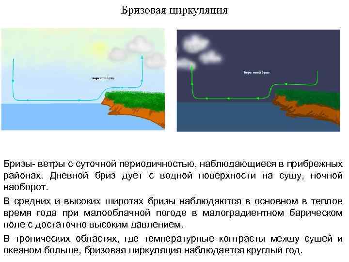 Бризовая циркуляция Бризы- ветры с суточной периодичностью, наблюдающиеся в прибрежных районах. Дневной бриз дует