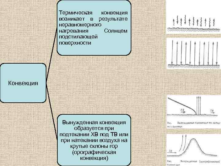Термическая конвекция возникает в результате неравномерного нагревания Солнцем подстилающей поверхности Конвекция Вынужденная конвекция образуется