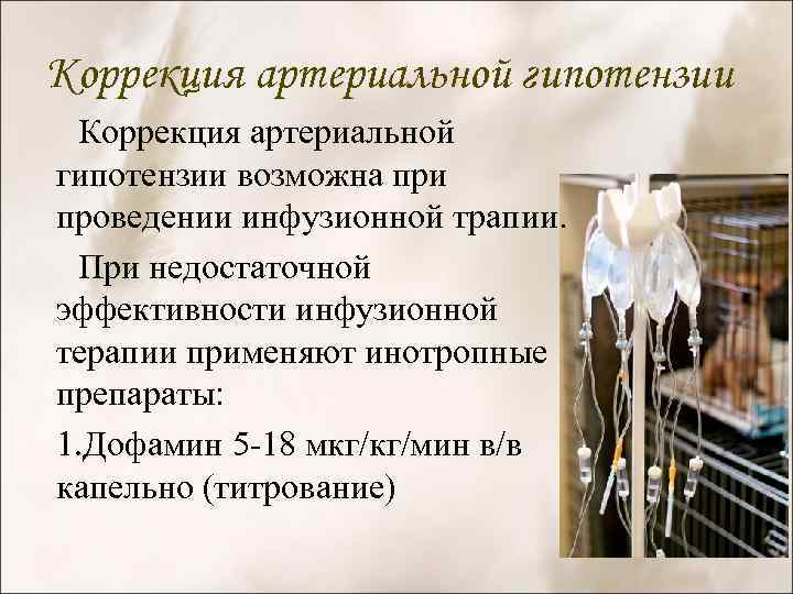 Коррекция артериальной гипотензии возможна при проведении инфузионной трапии. При недостаточной эффективности инфузионной терапии применяют