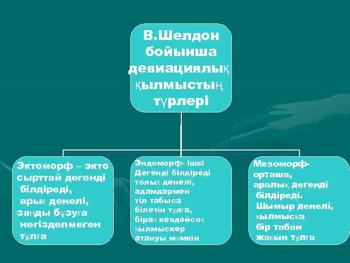 В. Шелдон бойынша девиациялық қылмыстың түрлері Эктоморф – экто сырттай дегенді білдіреді, арық денелі,