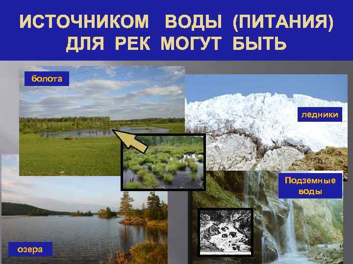 ИСТОЧНИКОМ ВОДЫ (ПИТАНИЯ) ДЛЯ РЕК МОГУТ БЫТЬ болота ледники Подземные воды озера 