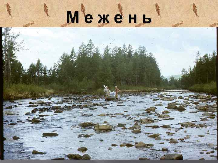 Межень 