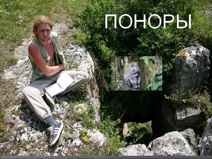 ПОНОРЫ 