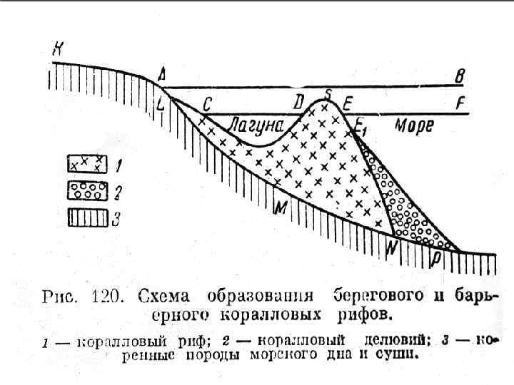 Схема берег моря