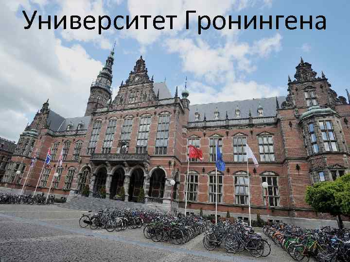 Университет Гронингена 