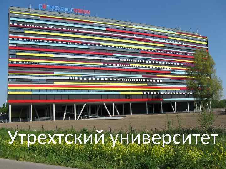 Утрехтский университет 