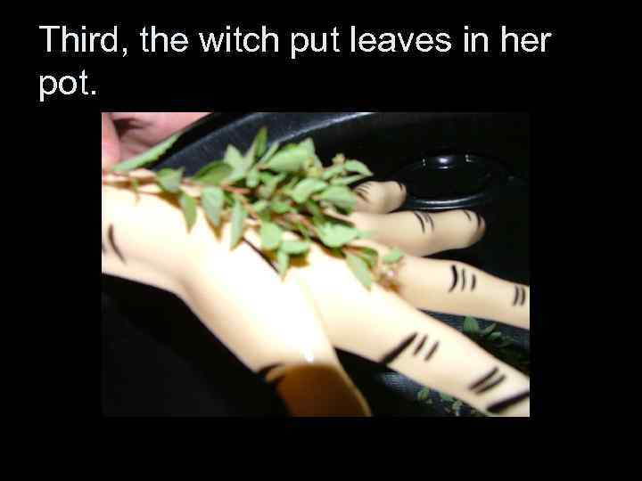 Third, the witch put leaves in her pot. 