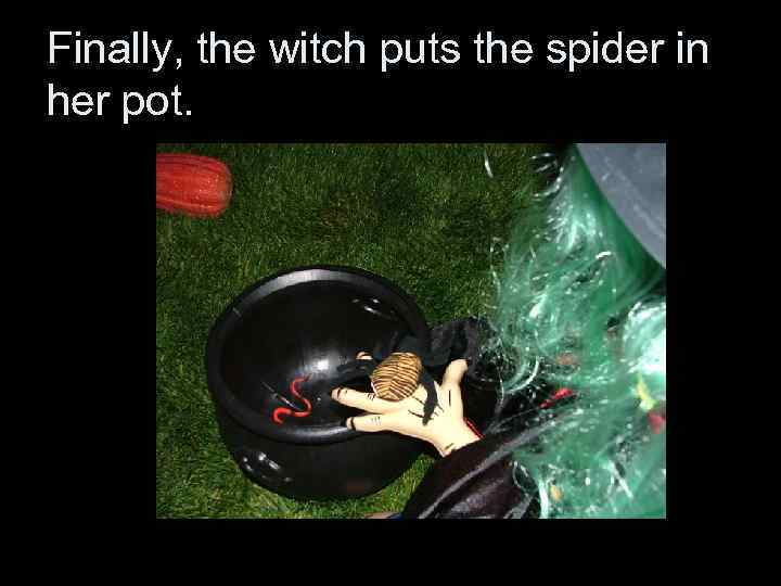 Finally, the witch puts the spider in her pot. 