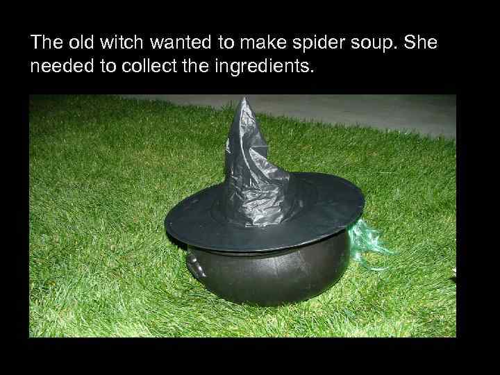 The old witch wanted to make spider soup. She needed to collect the ingredients.