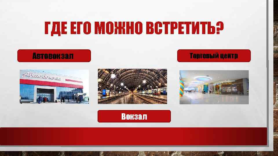 ГДЕ ЕГО МОЖНО ВСТРЕТИТЬ? Автовокзал Торговый центр Вокзал 