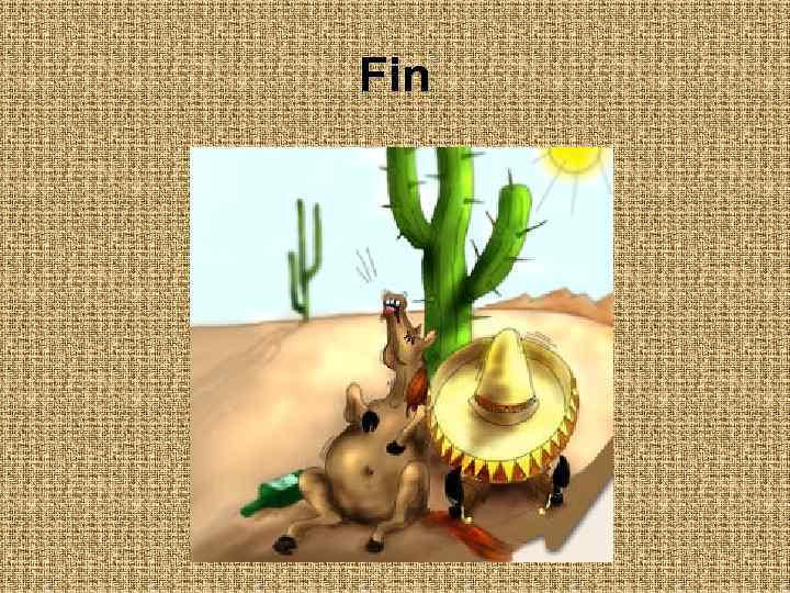 Fin 