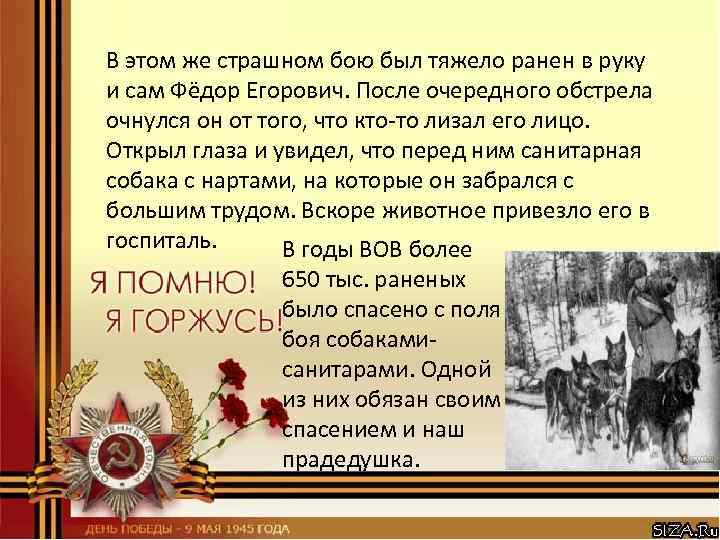 В этом же страшном бою был тяжело ранен в руку и сам Фёдор Егорович.