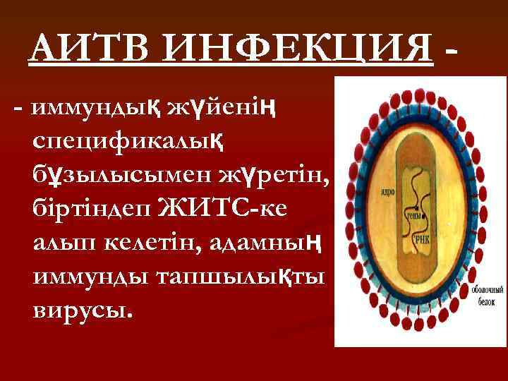 АИТВ ИНФЕКЦИЯ - иммундық жүйенің спецификалық бұзылысымен жүретін, біртіндеп ЖИТС-ке алып келетін, адамның иммунды