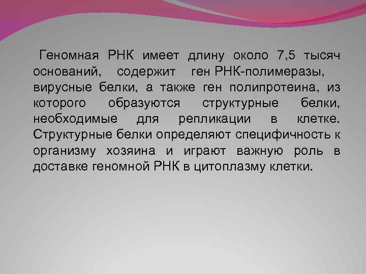  Геномная РНК имеет длину около 7, 5 тысяч оснований, содержит ген РНК-полимеразы, вирусные