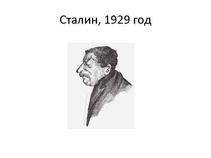 Сталин, 1929 год 