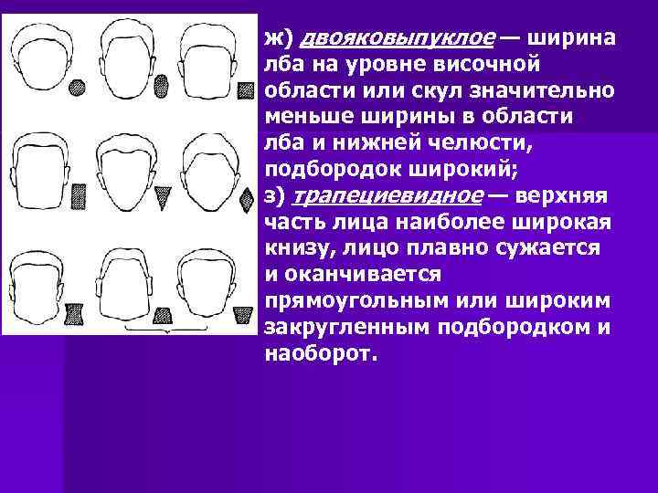 ж) двояковыпуклое — ширина лба на уровне височной области или скул значительно меньше ширины