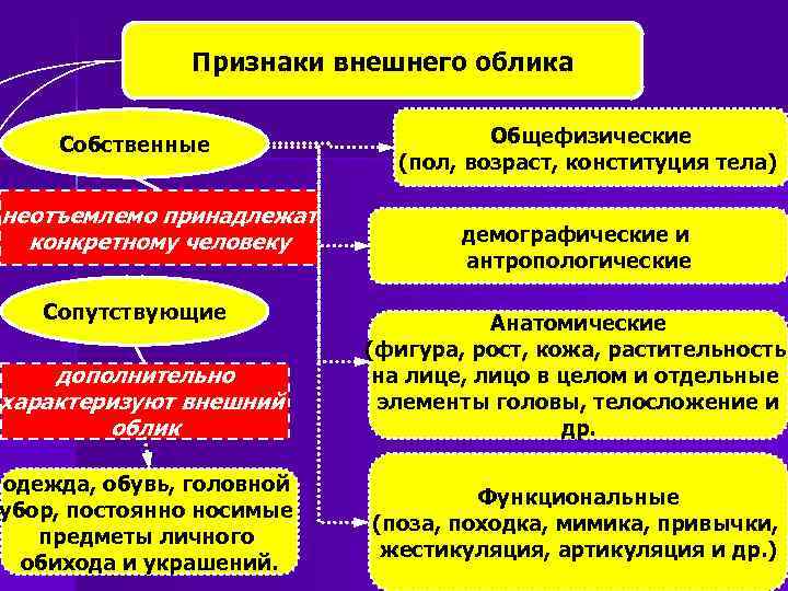 Признаки внешнего облика Собственные неотъемлемо принадлежат конкретному человеку Сопутствующие дополнительно характеризуют внешний облик одежда,