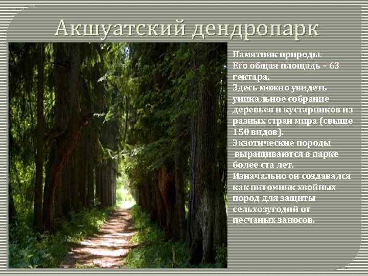 Акшуатский дендропарк Памятник природы. Его общая площадь – 63 гектара. Здесь можно увидеть уникальное