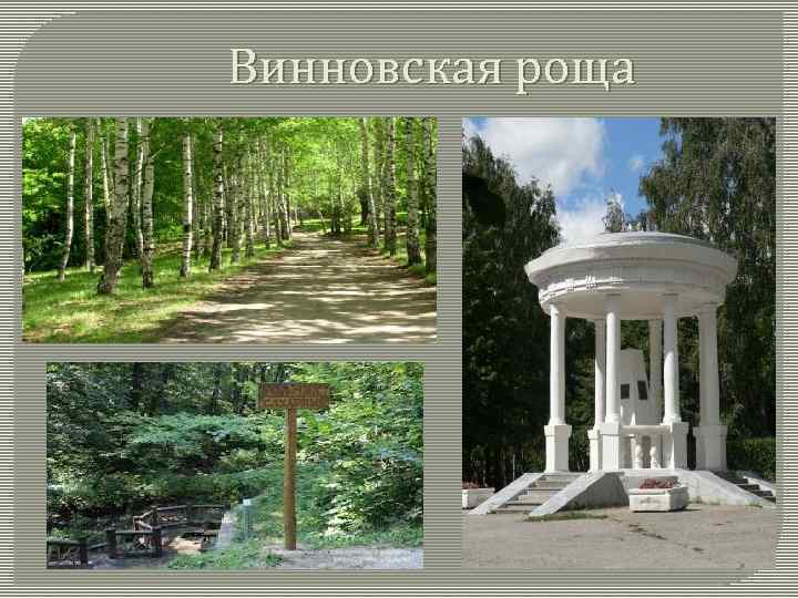 Винновская роща 