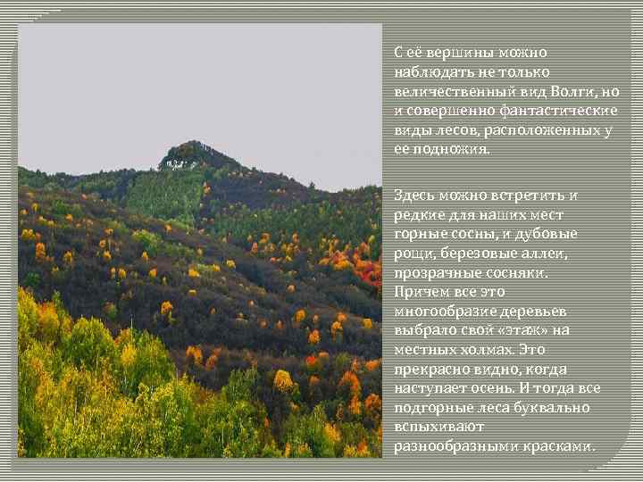 С её вершины можно наблюдать не только величественный вид Волги, но и совершенно фантастические