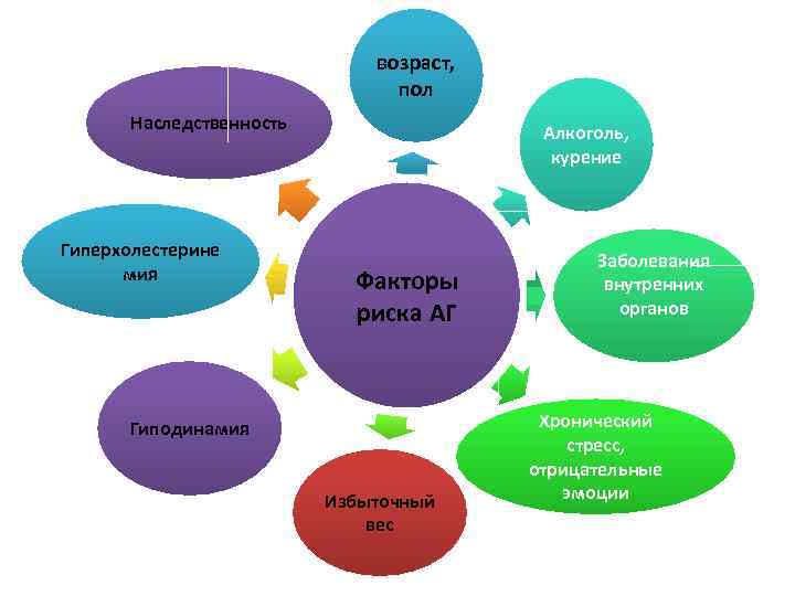 возраст, пол Наследственность Гиперхолестерине мия Алкоголь, курение Факторы риска АГ Гиподинамия Избыточный вес Заболевания